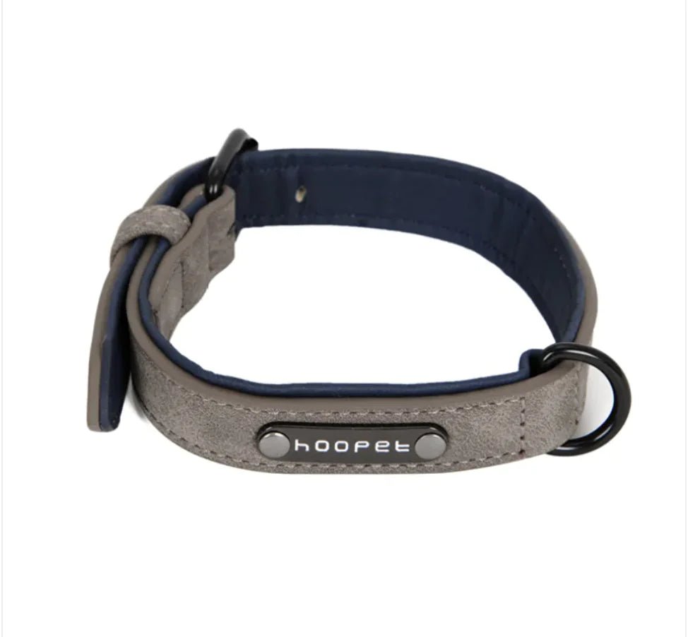 Adjustable Dog Collar & Leash Set - Fetch Pet Hub