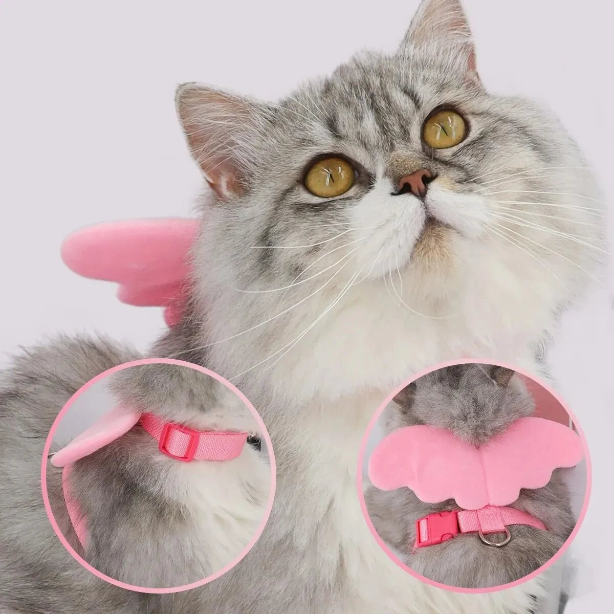 Angel Wings Pet Harness - Fetch Pet Hub