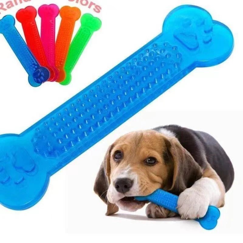 Chewing Dog Toy Bone - Fetch Pet Hub