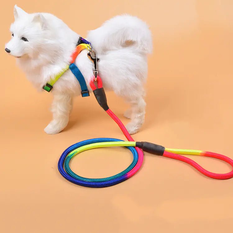 Colorful Nylon Round Hand Holding Dog Rope - Fetch Pet Hub