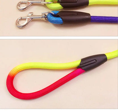 Colorful Nylon Round Hand Holding Dog Rope - Fetch Pet Hub