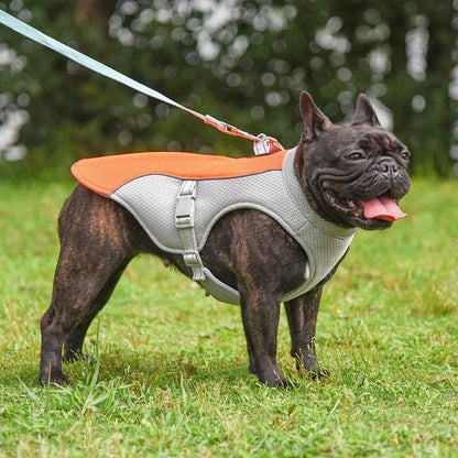 Cooling Vest for Pets - Fetch Pet Hub