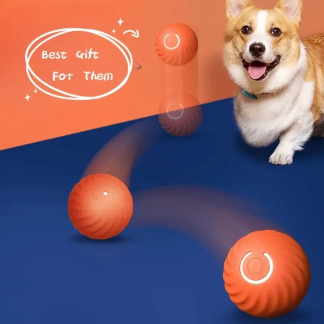 Durable Dog Chew Ball - Fetch Pet Hub