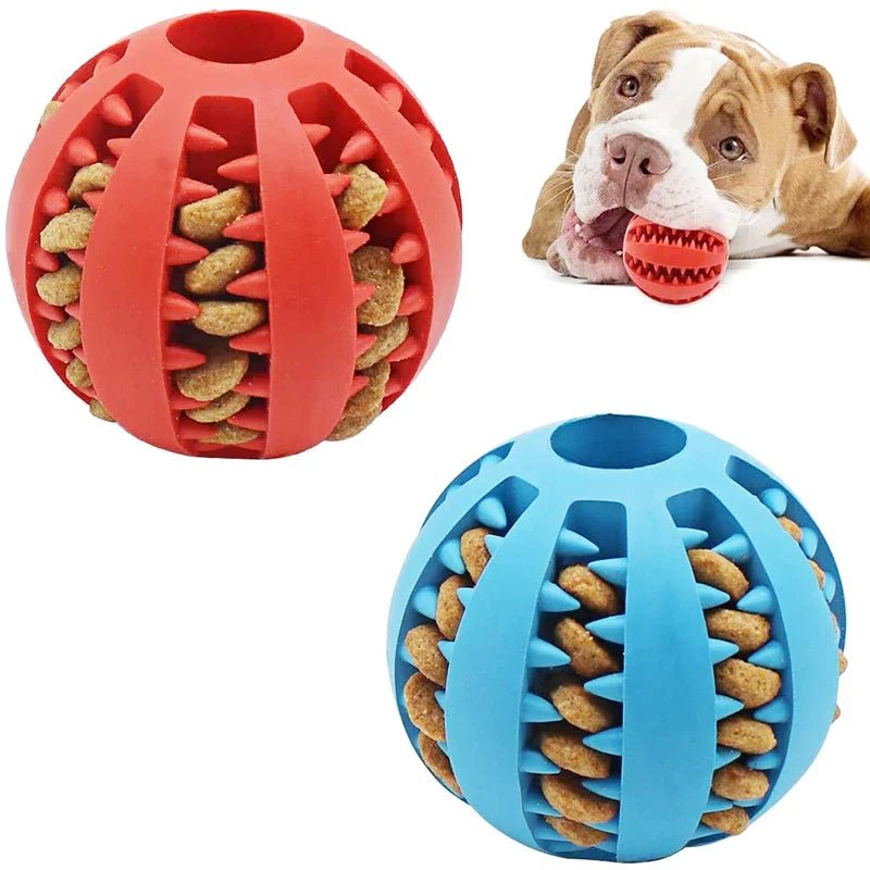 Interactive Dog Ball - Fetch Pet Hub