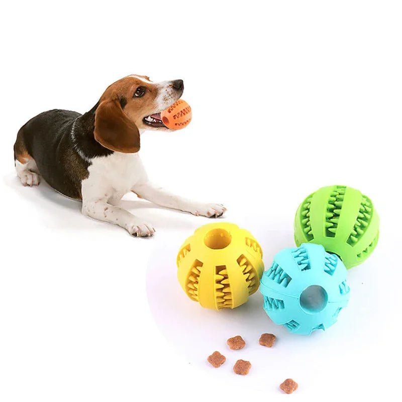 Interactive Dog Ball - Fetch Pet Hub