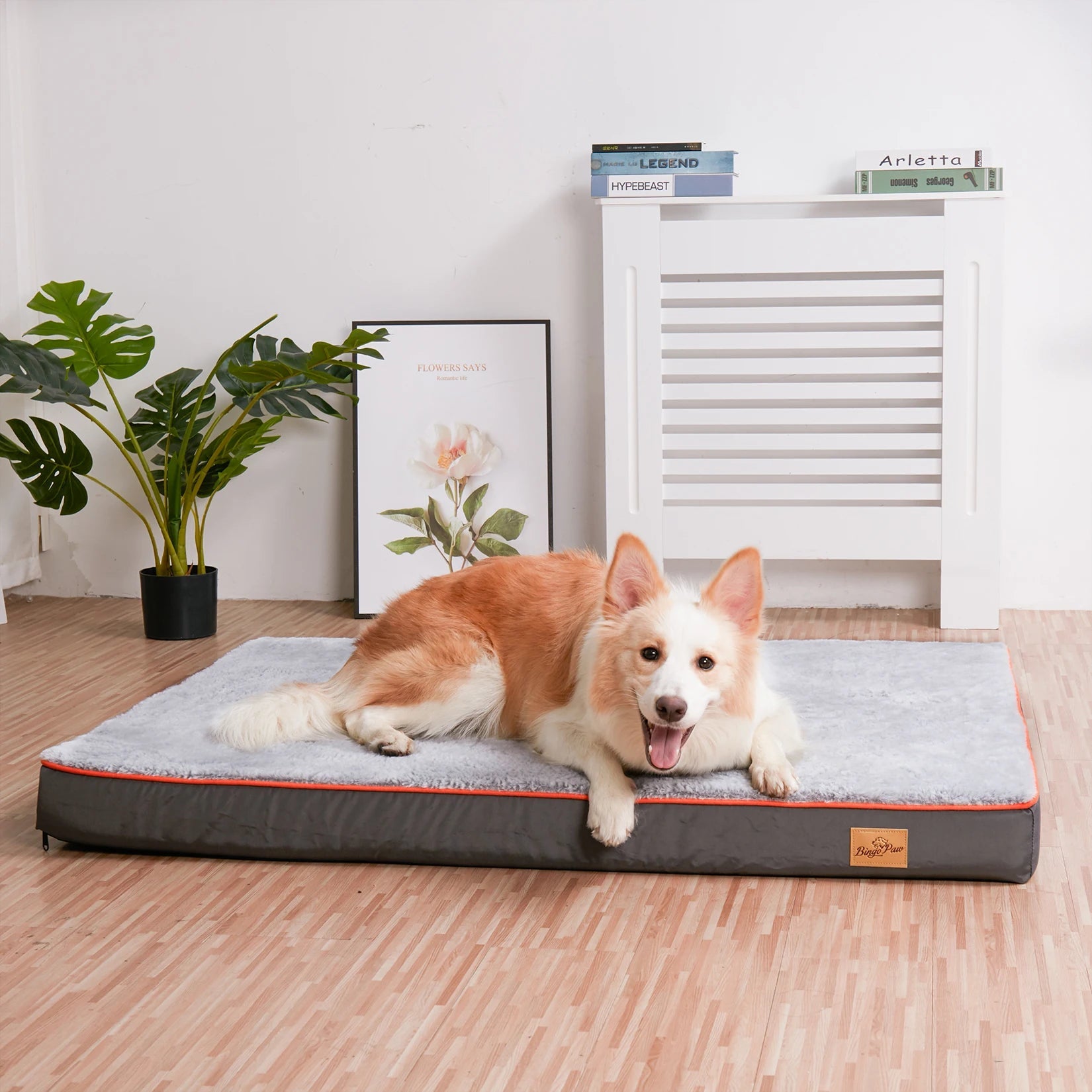 Large Orthopedic Dog Bed Kennel - Fetch Pet Hub