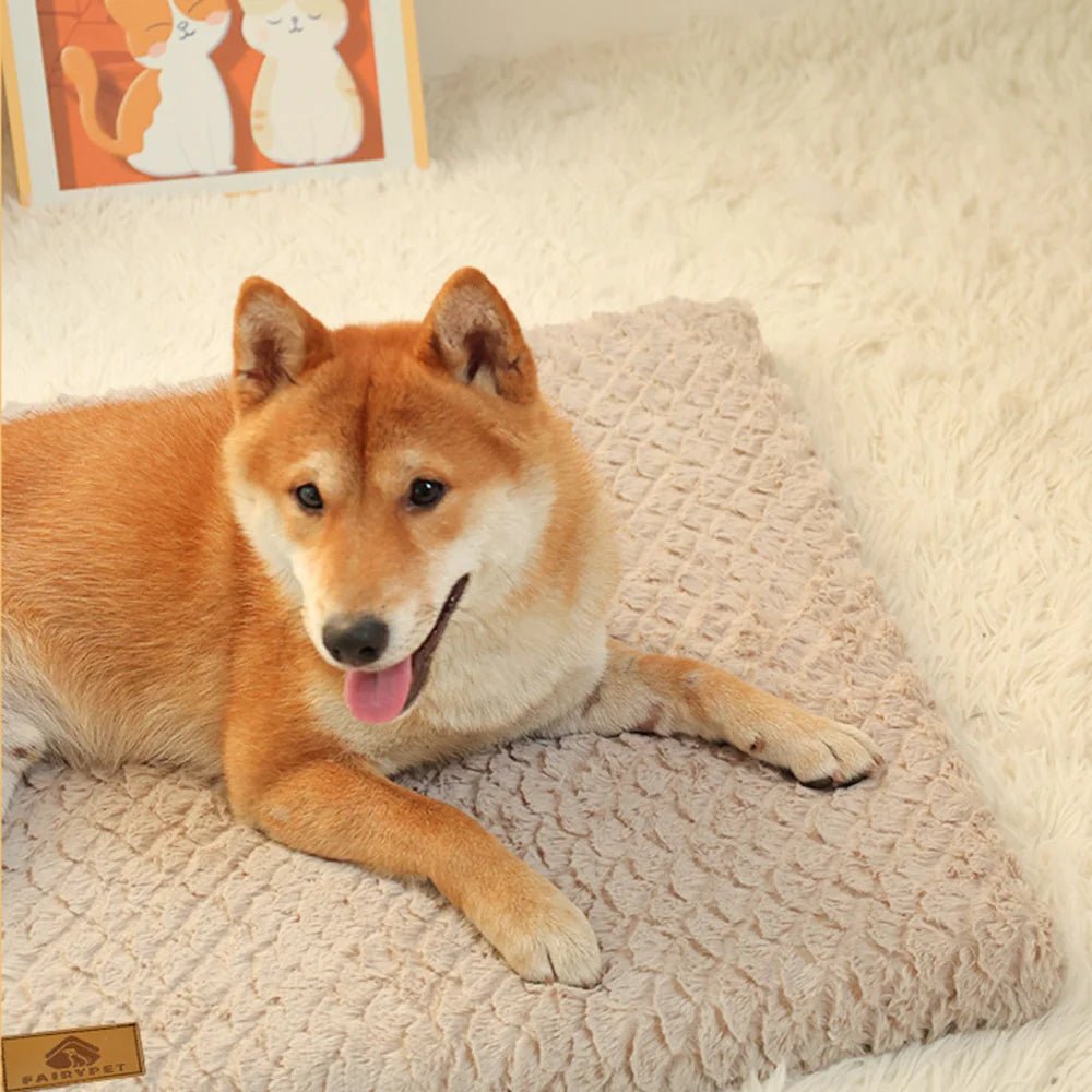 Memory Foam Pet Bed - Fetch Pet Hub