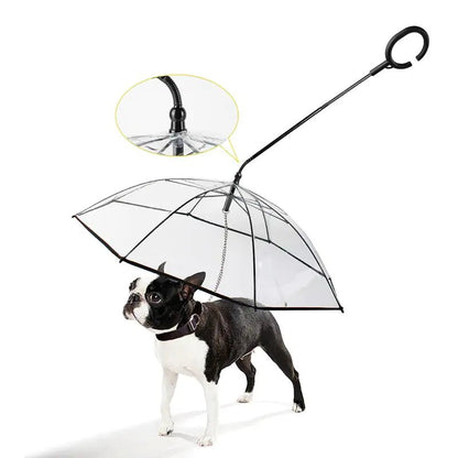 Pet Transparent Umbrella - Fetch Pet Hub