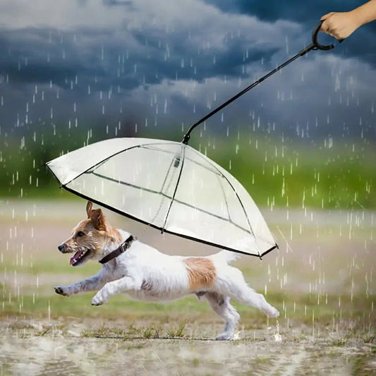 Pet Transparent Umbrella - Fetch Pet Hub