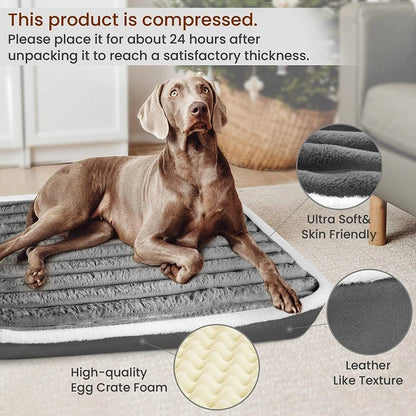 Soft Orthopedic Dog Bed - Fetch Pet Hub